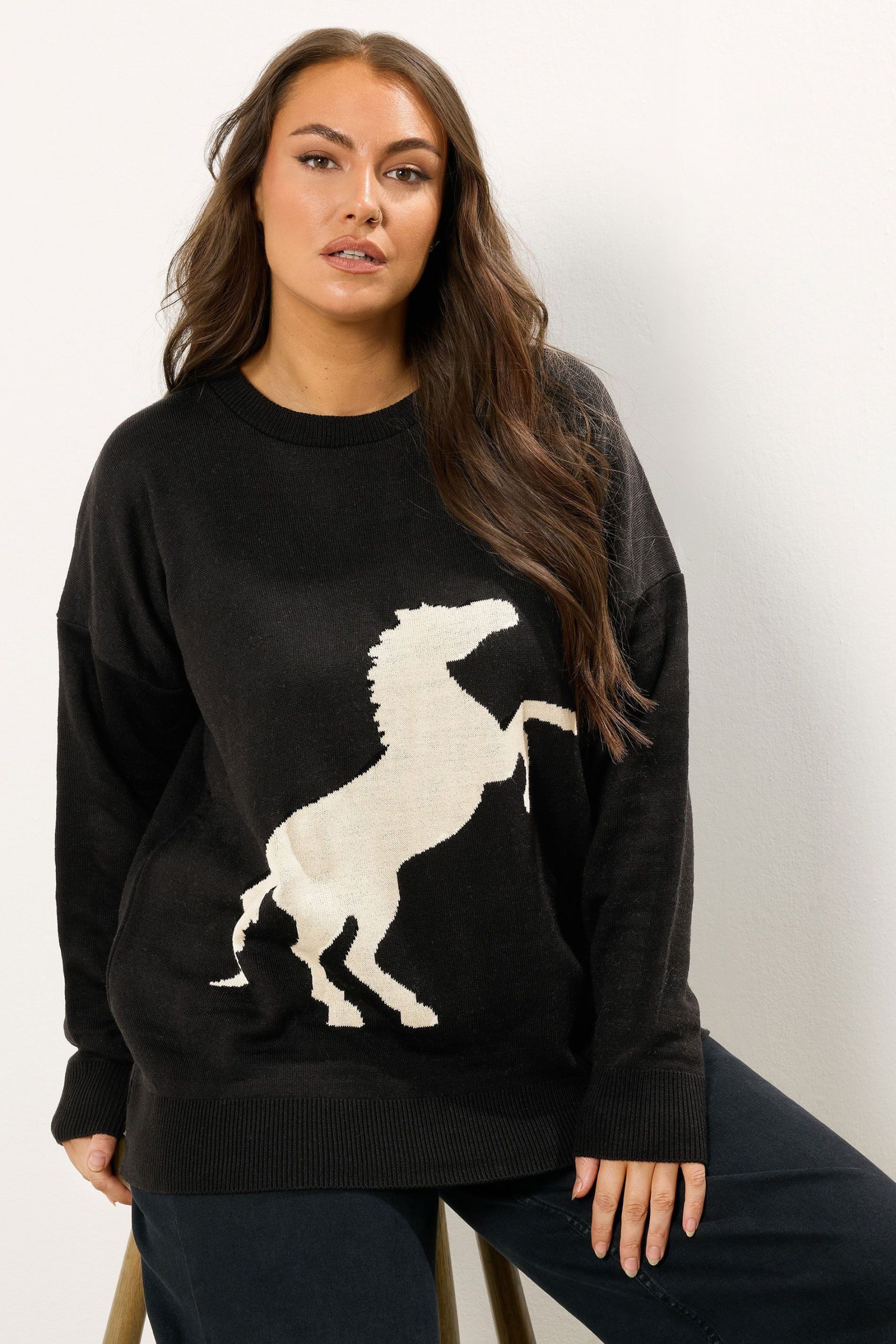 Western Horse Jumper